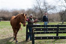 LR-WRF 0402026 Retreat-3564